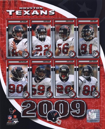 Framed 2009 Houston Texans Team Composite Print