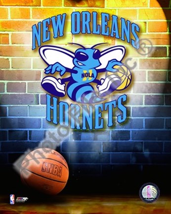 Framed 2009 New Orleans Hornets Team Logo Print