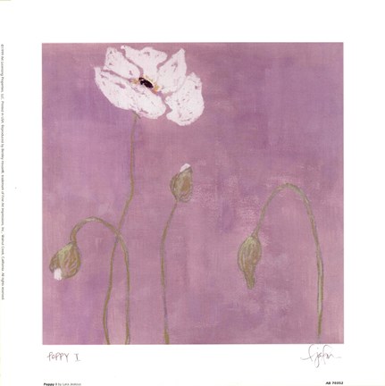 Framed Poppy l Print