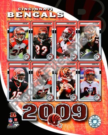 Framed 2009 Cincinnati Bengals Team Composite Print