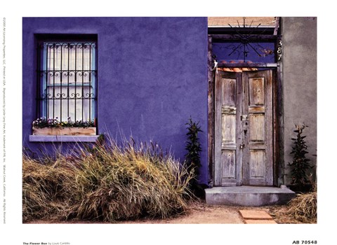 Framed Flower Box Print