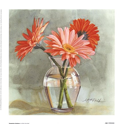 Framed Tangerine Gerbera Print