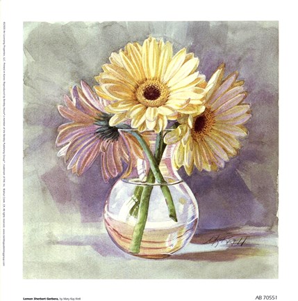 Framed Lemon Sherbert Gerbera Print