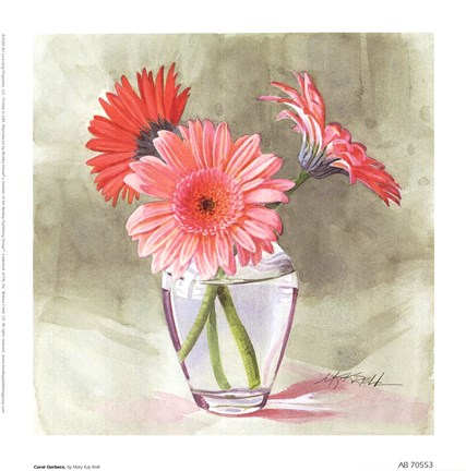 Framed Coral Gerbera Print