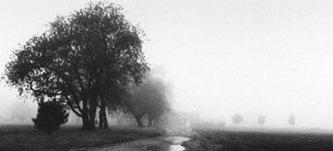 Framed Early Morning Print