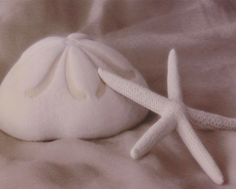 Framed Shell Sonnet I Print