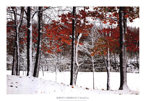 Framed SnowFall Print