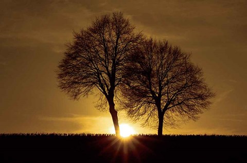 Framed New Beginning Print