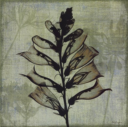 Framed Flora I Print