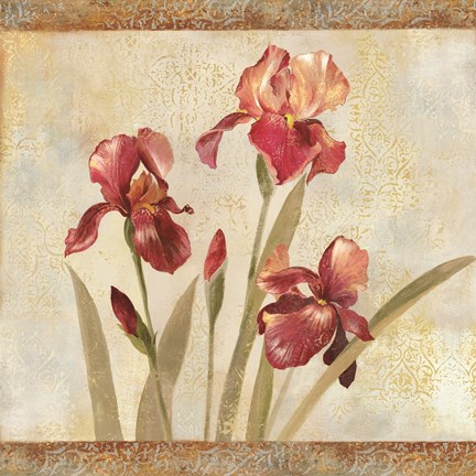 Framed Iris Tapestry I Print