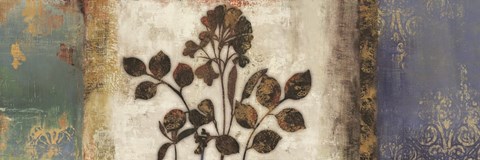 Framed Anthropologie I Print