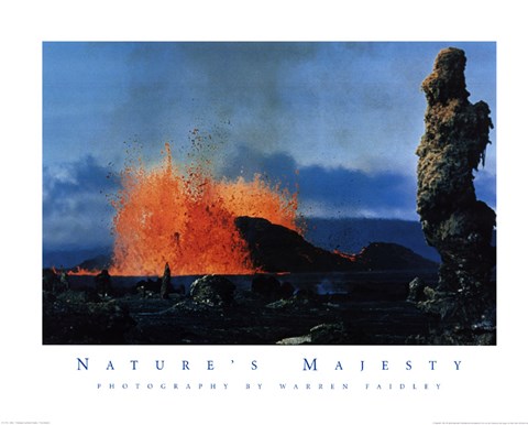 Framed Nature's Majesty I Print