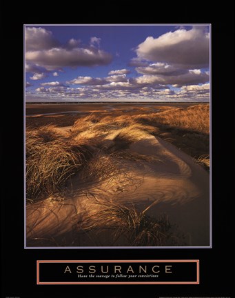 Framed Assurance - Sand Dunes Print
