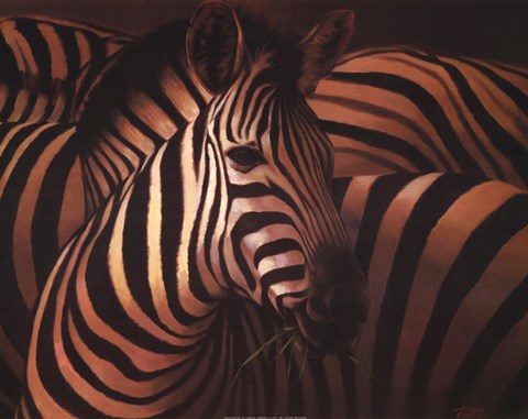 Framed Zebra Grande Print