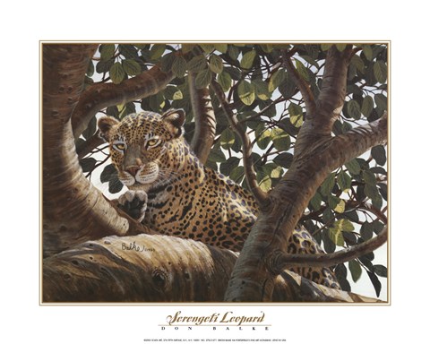 Framed Serengeti Leopard Print