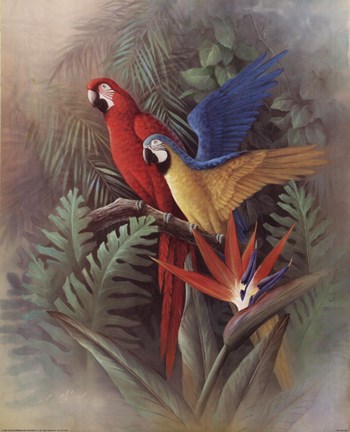 Framed Exotic Birds Print