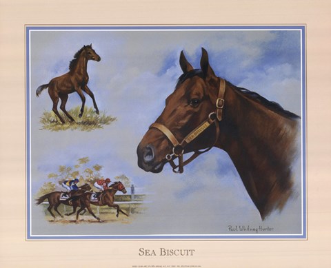 Framed Sea Biscuit Print