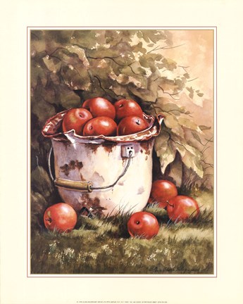 Framed Pail of Apples Print