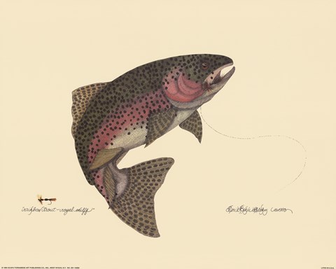 Framed Rainbow Trout Print