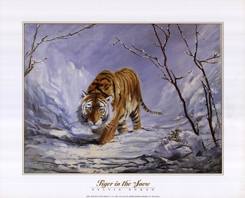 Framed Tiger in the Snow Print