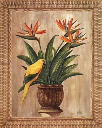 Framed Bird of Paradise Print