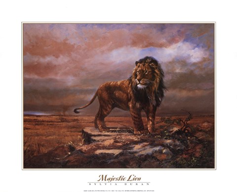 Framed Majestic Lion Print