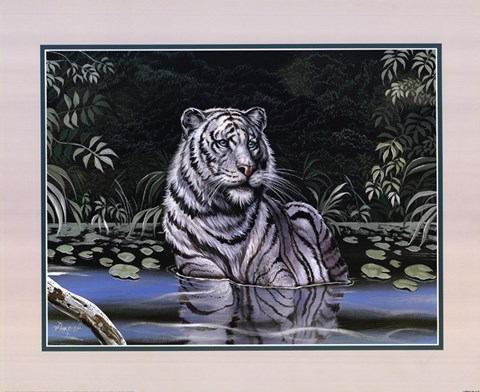 Framed Wading White Tiger Print