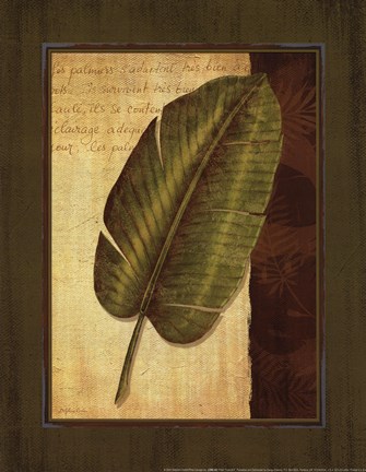 Framed Palm Tropical II Print