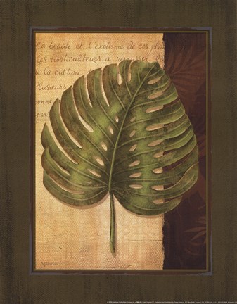 Framed Palm Tropical IV Print