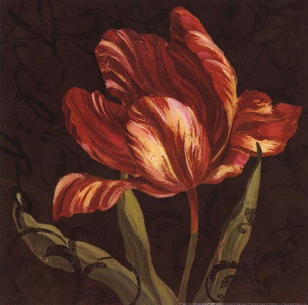 Framed Tulipa II Print