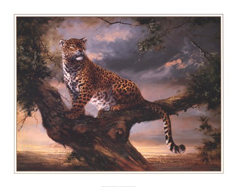 Framed Leopard In Tree Print