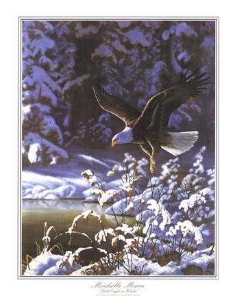 Framed Eagle In Winter Print
