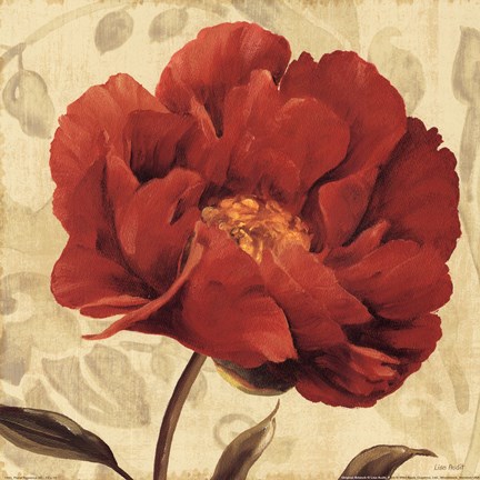 Framed Floral Romance II C Print