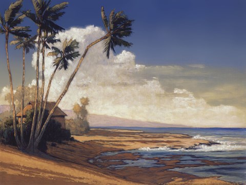 Framed Kona Coast I - petite Print