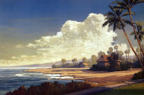 Framed Kona Coast II Print