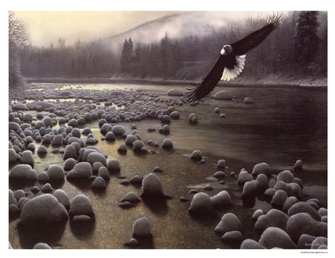 Framed On Eagle Wings Print