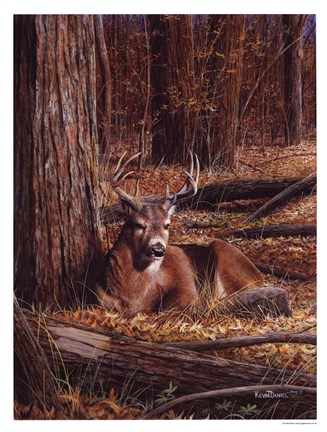 Framed Deer In Leaves Print