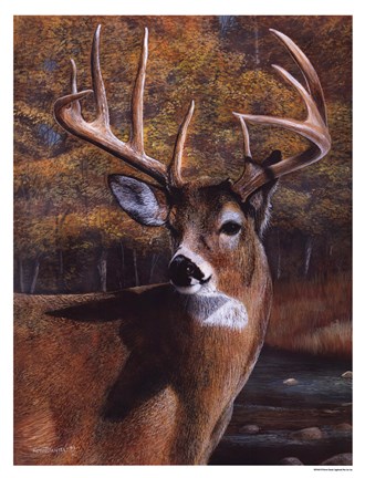 Framed Deer Head Print