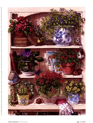 Framed Flower Cupboard Print