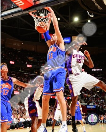 Framed Zydrunas Ilgauskas 2009-10 Action Print