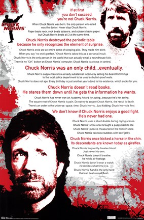 Framed Chuck Norris - The Best Print