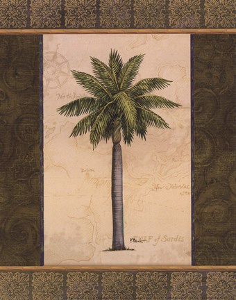 Framed East Indies Palm II - mini Print