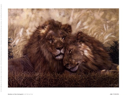 Framed Brothers of the Serengeti Print