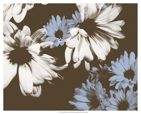 Framed Chocolate Bloom I Print