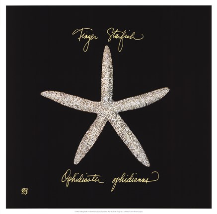 Framed Striking Shells I Print