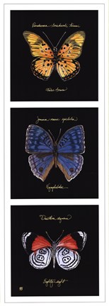 Framed Primary Butterfly Panel II Print