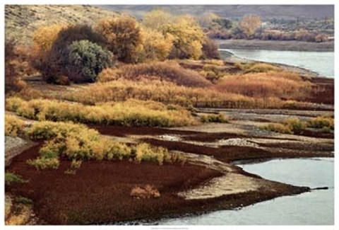 Framed Brilliant View IV Print