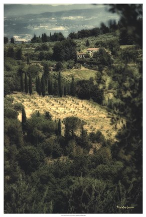 Framed Tuscan Vineyard Print