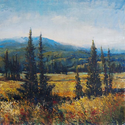 Framed Pacific Northwest II Print