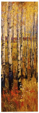 Framed Vivid Birch Forest II Print